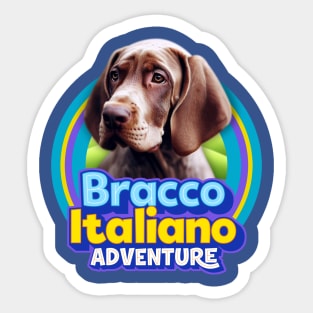 Bracco Italiano Sticker